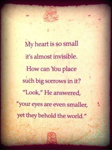 bffff8b311885ba8944478fa2a245c8d