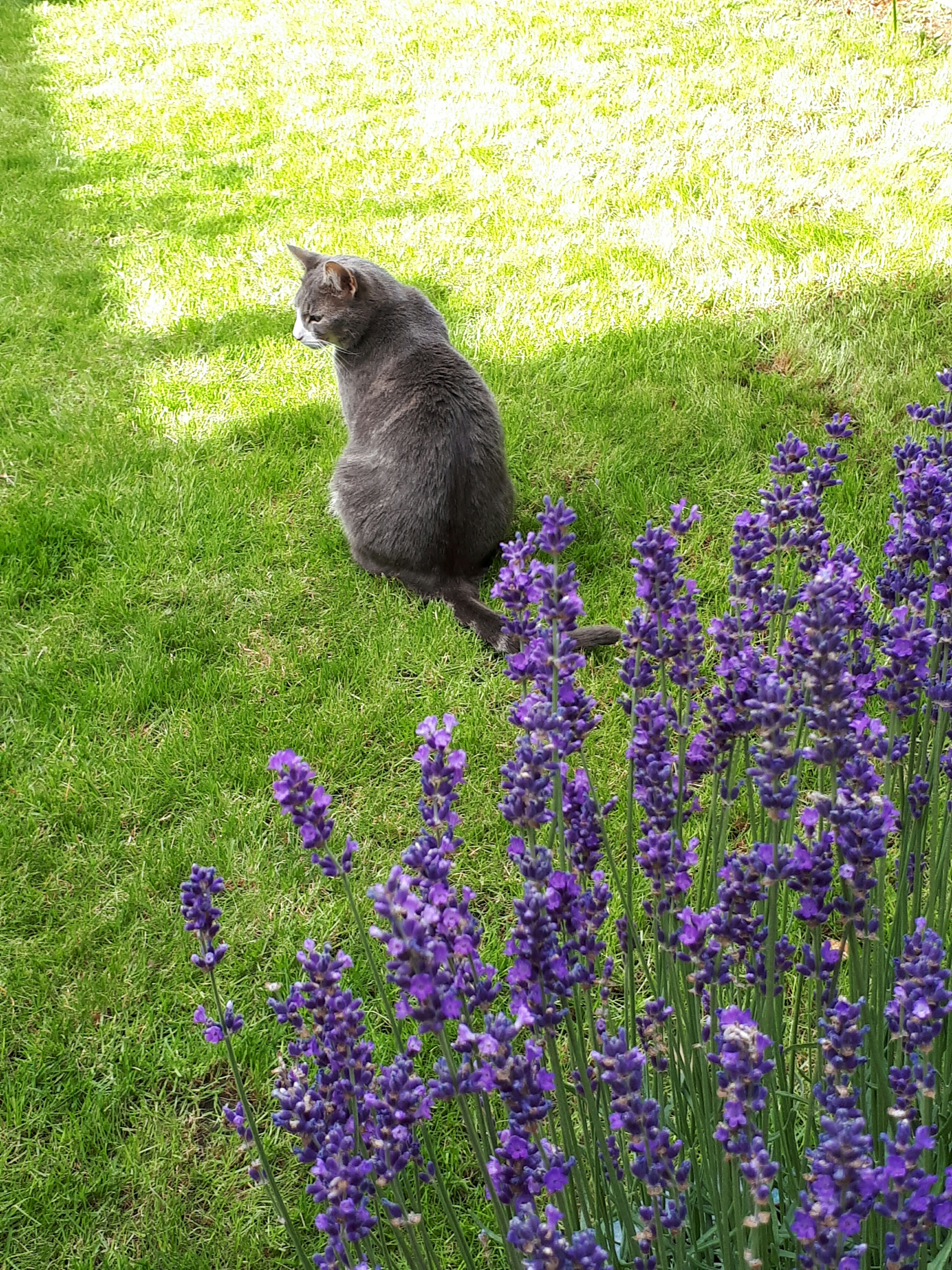 20170701_174328_resized